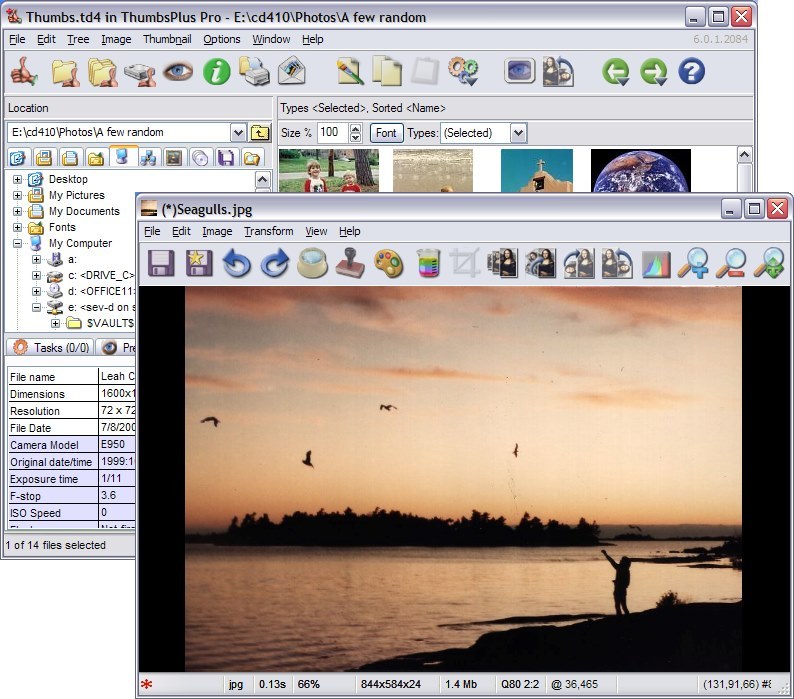 ThumbsPlus Screenshot